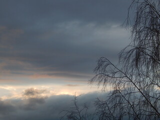 Obraz premium autumn twilight