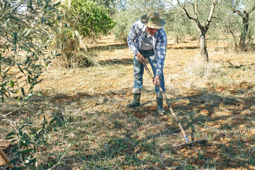 farmer works with his rake to clear his land