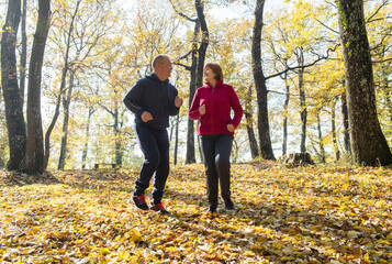 Fototapeta premium Seniors jogging on a forest