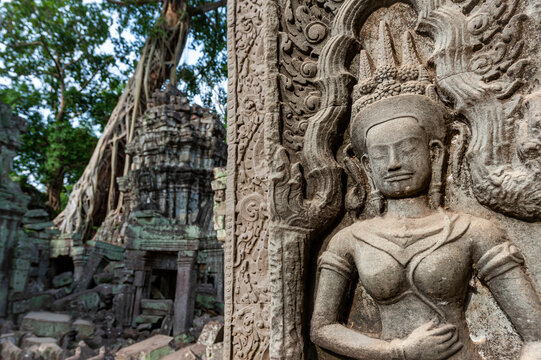 Close up of Apsara dancer in Ta Prohm with famous strngulating fig tree in back ground, Siem Reap, Cambodia.