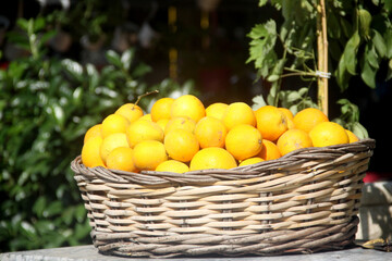 basket full of lemons