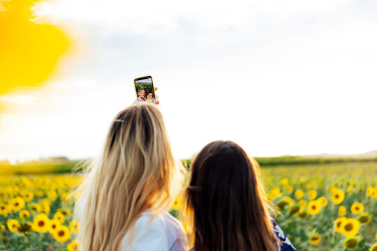 A couple of attractive young women one blonde and the other brunette posing in their designer dresses in a field of sunflowers using their smartphone