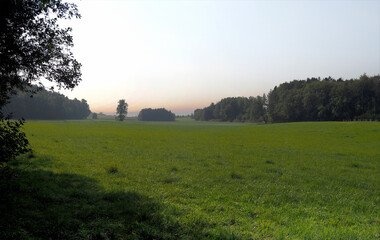 Fototapeta premium Wiese bei Raderrach