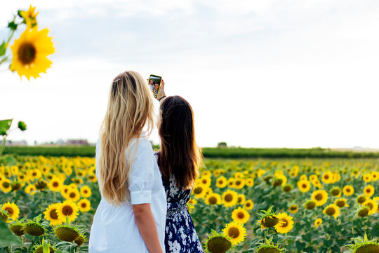 A couple of attractive young women one blonde and the other brunette posing in their designer dresses in a field of sunflowers using their smartphone