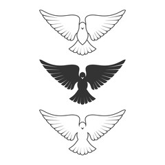 Dove, a symbol of peace and purity. The biblical symbol of the Holy Spirit.