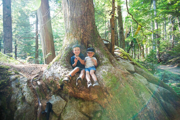 Two young explorers sit below old growth tree in natural forest.