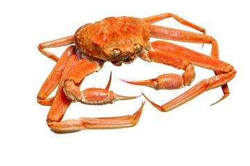 Hong Kong 2011 : A Steamed Matsuba Crab Without Background