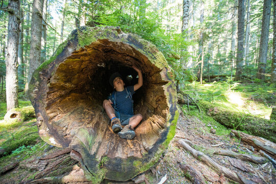 Boy sitting inside discovering and exploring old growth tree,
