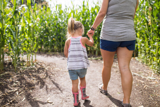 Mother holding hand of young daughter, exploring corn maze.