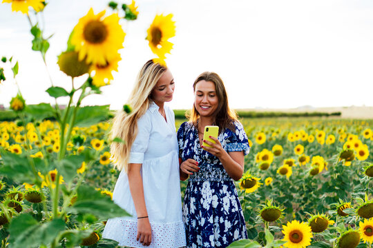 A couple of attractive young women one blonde and the other brunette posing in their designer dresses in a field of sunflowers using their smartphone