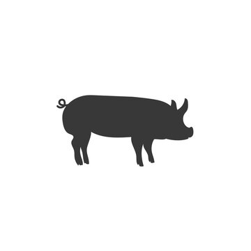 Vector pig silhouette. Pig silhouette icon isolated white background