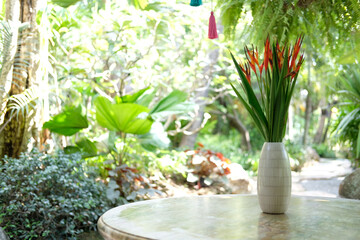 bird of paradise flower in vase for decoration