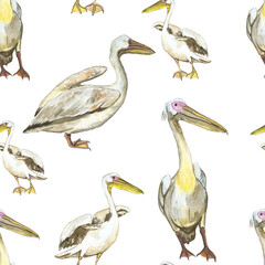 Seamless pattern of great pelican birds on white background. Watercolor hand drawing illustration for digital paper, textile, print, wallpaper. Tropic white Pelecanus rufescens in realistic style.