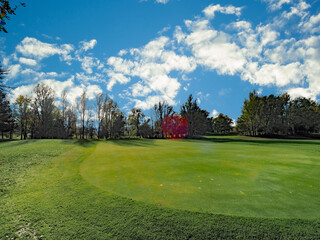 Fototapeta premium park in the city