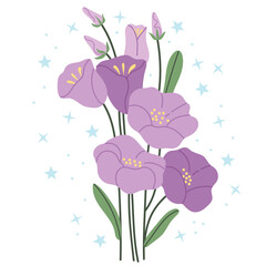 Purple 
Campanula on a white background.Simple illustration.Floral greeting card vector template. Clip art design element.