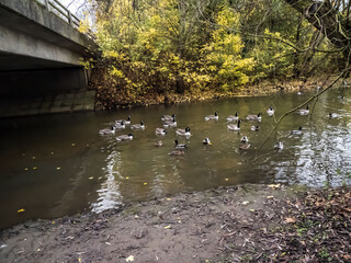 bridge over the river