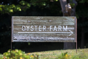 Wooden Oyster Farm Sign on grassy hill