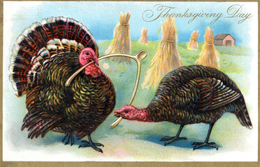 Two turkeys pulling on a wishbone. Odd concept? Thanksgiving Theme Postcard, restored artwork, color, details enhanced. Festive Autumn illustrations from the past.