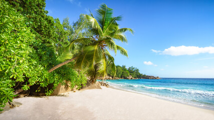 tropical beach.White sand,palm,turquoise water and rocks in paradise, seychelles 3