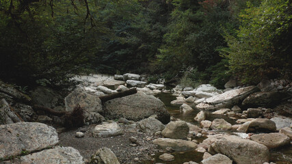Mountain river among the rocks. Carpathian river in the forest. A river in the Sochi gorge.