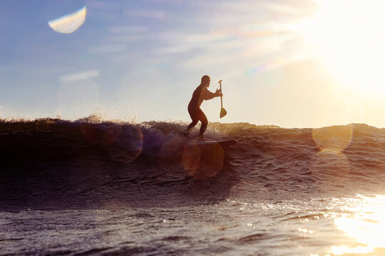 Male SUP surfer at sunset time