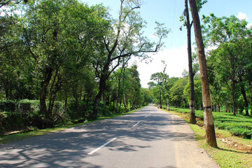 way to khajjiar himachal pradesh india