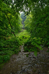 Fototapeta na wymiar View through the forest to the Urach waterfall