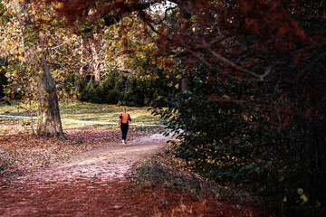 Joggerin auf einem Weg im Park mit Herbststimmung - 392059642