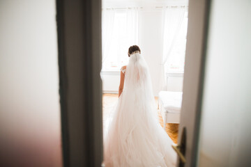 Beautiful bride wearing fashion wedding dress with feathers with luxury delight make-up and hairstyle, studio indoor photo shoot