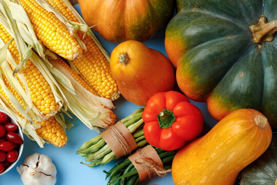 Beautiful assortment of colorful vegetables on blue background