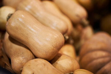 A lot of pumpkins close up. Pumpkin background. Pumpkin at the grocery store.