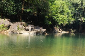 Fototapeta na wymiar Mountain river. State Of Goa. India