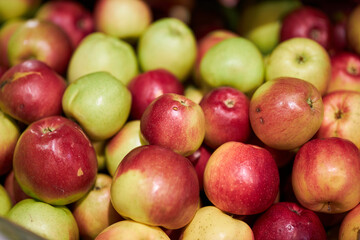 ripe apples on the counter in the store. Red and green apples on the market counter. Apples on the grocery shelf. ripe, juicy green apples in a wicker basket on a shop counter, market. harvesting. 