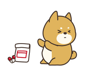 薬を飲むのを嫌がる柴犬