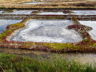 marais salants à Noirmoutier en France