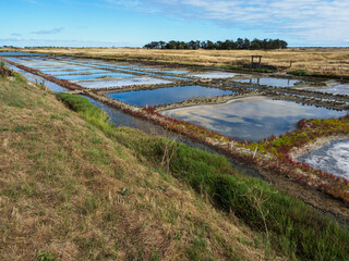 marais salants à Noirmoutier en France