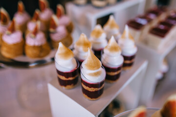 Delicious miniature cakes in buffet trays. Wedding dessert with delicious cakes and macaroons.