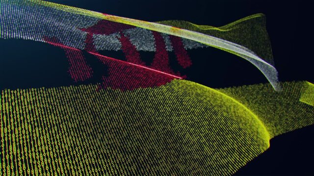 3d render. Brunei digital flag with binary code texture flies in the wind. Seamless loop.