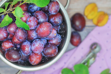 Fresh, ripe plums with green leaves in a metal bowl