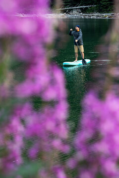 Tranquil man standing on paddleboard on lake with purple wildflowers