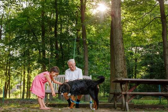 A little girl and her grandfather play with family dog outside in sun