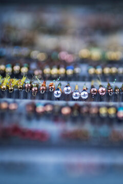 Fly Fishing flies in tackle box fly box Washington river