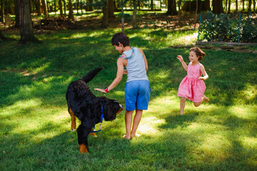 Two happy children play together with dog in a sunlit, wooded backyard