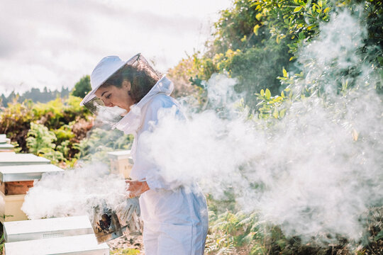 Young woman beekeeper at work in a nature