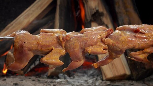 Raw marinated quail on the skewer are placed above the open fire outdoors