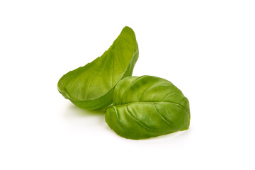 Fresh basil leaves, close-up, isolated on white background