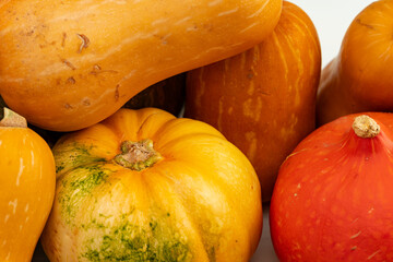 Background of a lot of colorful pumpkins