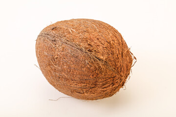Tropical brown coconut over background