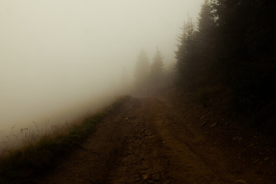Grunt mountain road in the fog