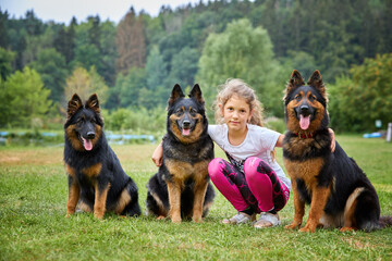 Blonde little girl with three Bohemian Shepherd dogs on green lawn, direct view, summer, agility training. Bohemian Shepherd, Czech purebred breed, dog loving family.